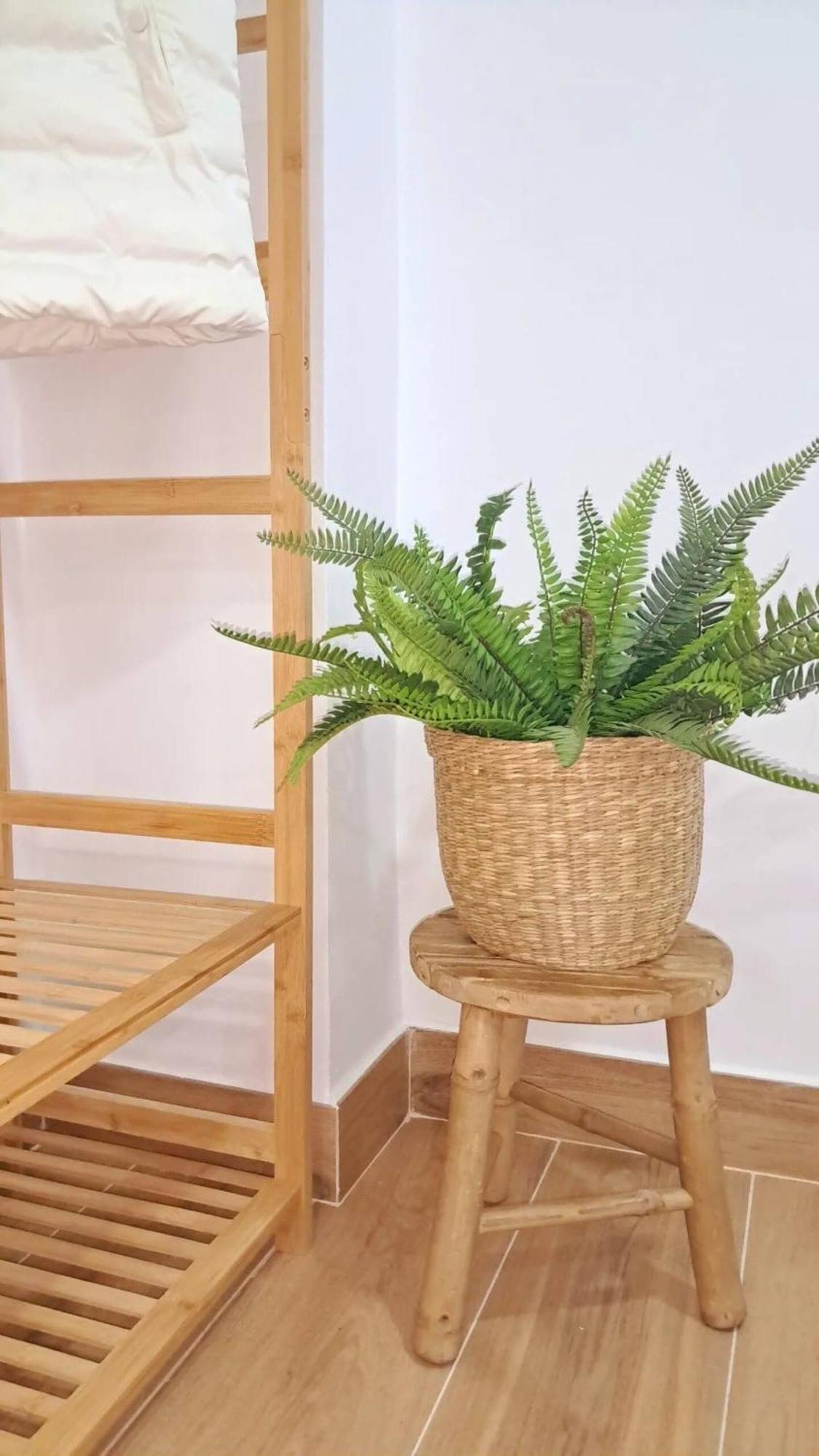 סביליה Coffee & Calm Triana Apartment מראה חיצוני תמונה